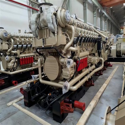 1500KW Biogaz dèlko ansanm